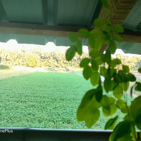Ocean Sparrow Beach Stay Gokarna  Rum bild