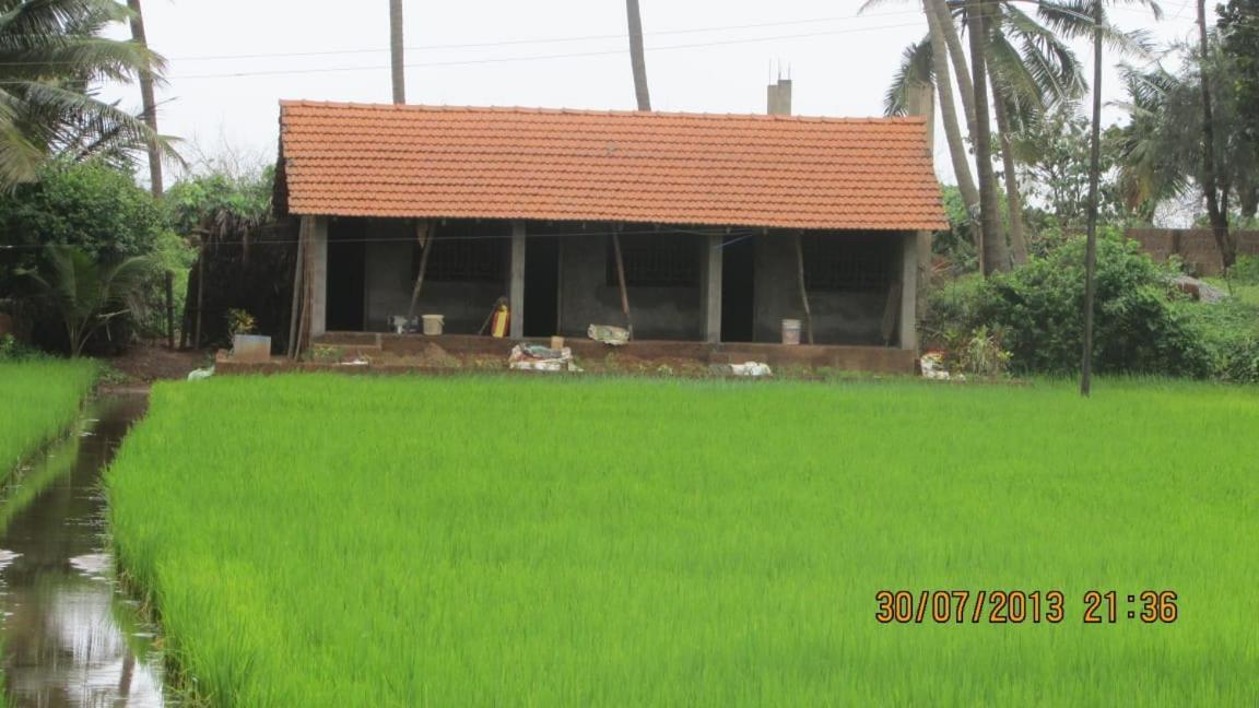 Ocean Sparrow Beach Stay Gokarna  Exteriör bild
