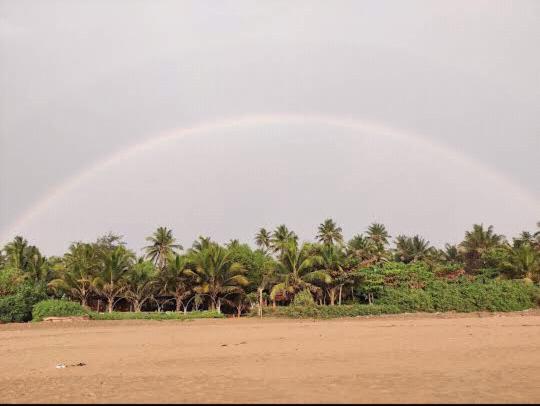 Ocean Sparrow Beach Stay Gokarna  Rum bild
